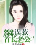 误惹高冷老公:宝贝儿,别玩了