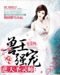 兽王强宠:逆天圣灵师