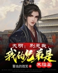大明:别惹我,我的兄弟是朱瞻基