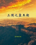 三国之盘王朝