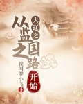 大辽之从监国之路开始