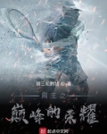 网王之巅峰的荣耀