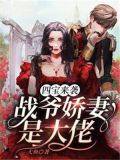 四宝来袭,战爷娇妻是大佬林双