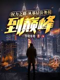 权力之路:从基层公务员到巅峰