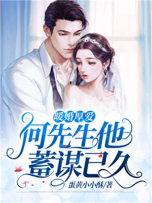 暖婚厚爱:何先生他蓄谋已久