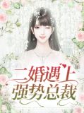 二婚遇上强势总裁林苒柒