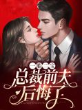 一胎二宝后总裁前夫后悔了夏依依厉腾