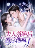 夫人落跑后盛总他疯了叶雨舒盛泽安