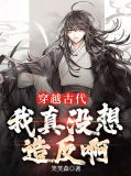 穿越古代,我真没想造反啊慕容琳