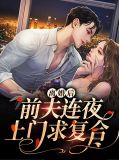 离婚后前夫连夜上门求复合温楠顾衍