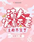 渣夫宠妾灭妻,主母不装了
