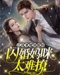 总裁爹地别傲娇,闪婚妈咪太难撩