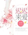迟迟来爱