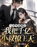与渣男退婚后,我把千亿小叔撩上天