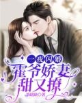 一夜闪婚:霍爷娇妻甜又撩