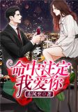 命中注定我爱你