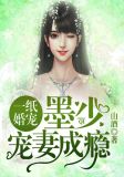 一纸婚宠:墨少宠妻成瘾