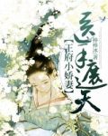 王府小娇妻,医手遮天