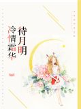 莫筱雨顾辰风