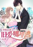 冷情总裁:旧爱哪里逃