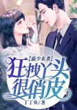 霸少来袭:狂拽丫头很俏皮