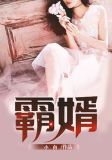 霸婿崛起老施