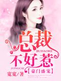豪门盛宠:总裁不好惹