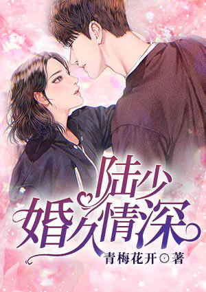 陆少,婚久情深