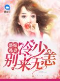 盛嫁逃妻:冷少别来无恙夏婉柔柏逸庭