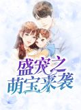 盛宠之萌宝来袭穆澄心陆慎行
