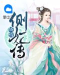 矫情侧妃传雯扬胤禛