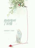 纷纷坠叶了旧情商祁延