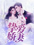 云少的挚爱娇妻李潇云墨