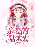 亲爱的陆太太叶栗
