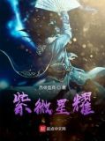 紫微星耀小说