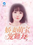 娇妻萌宝宠翻天沈妖妖