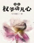 佛系权爷动凡心下载