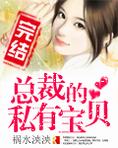 总裁的私有宝贝笔趣