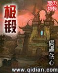 极锻锅