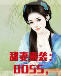 甜妻来袭boss别闹4085章