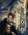 魂武风暴 244章