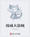 大盗贼动画片歌曲
