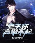 老子你高攀不起txt免费全集下载