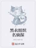 黑衣组织名侦探
