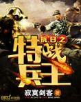 抗日之特战兵王_闪烁