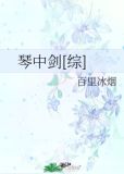 琴中剑[综]