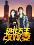 镇北王是什么电视剧