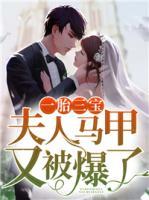 一胎三宝:夫人马甲又被爆了