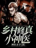 乡村修真小神医神医圣手