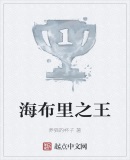 海布里之王重返阿森纳